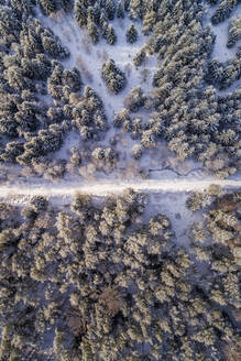 Luftaufnahme einer mit Schnee bedeckten Straße im Wald von Naage in Estland. - AAEF02515