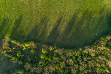 Luftaufnahme von Wald und Feld auf Forby auf der Insel Vormsi, Estland. - AAEF02523