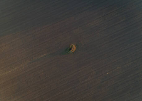 Luftaufnahme eines Felsens inmitten eines Wiesenfeldes in Estland. - AAEF02524