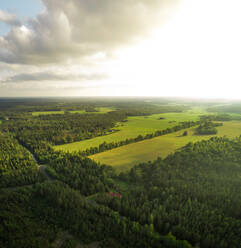 Luftaufnahme von Wald und Feld in Estland. - AAEF02530