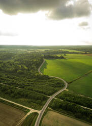 Luftaufnahme von Wald und Feld in Estland. - AAEF02531