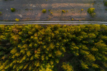 Aerial view road going in the edge of forest at Forby on Vormsi island, Estonia. - AAEF02545
