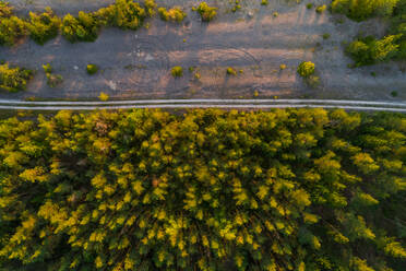 Luftaufnahme einer Straße am Waldrand von Forby auf der Insel Vormsi, Estland. - AAEF02546