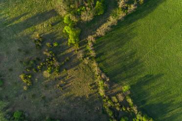 Luftaufnahme von Wald und Feld auf Forby auf der Insel Vormsi, Estland. - AAEF02556