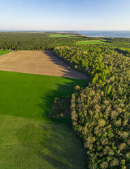 Luftaufnahme von Wald und Feld auf Forby auf der Insel Vormsi, Estland. - AAEF02559