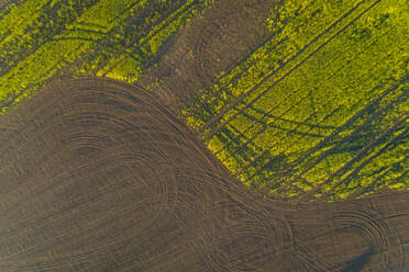 Aerial view meadow field in Estonia. - AAEF02570