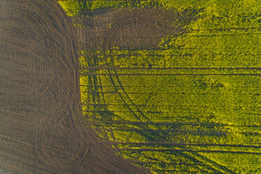 Aerial view meadow field in Estonia. - AAEF02571