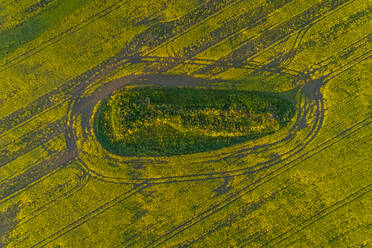 Aerial view meadow field in Estonia. - AAEF02573