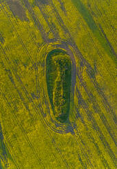 Aerial view meadow field in Estonia. - AAEF02574