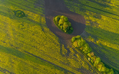 Aerial view meadow field in Estonia. - AAEF02575