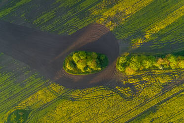 Aerial view meadow field in Estonia. - AAEF02576