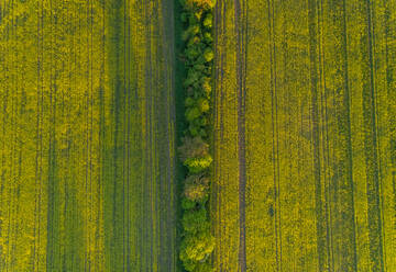 Aerial view meadow field in Estonia. - AAEF02577