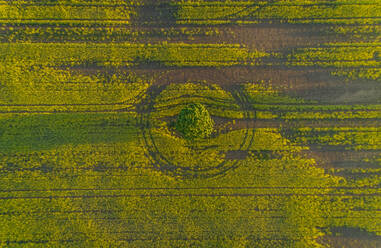 Aerial view meadow field in Estonia. - AAEF02581