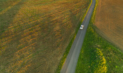 Luftaufnahme einer Straße, die durch einen Wald in Estland führt. - AAEF02582