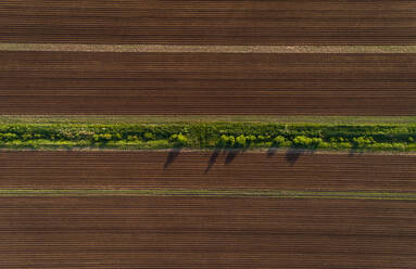 Luftaufnahme Muster Wiesenfeld in Estland. - AAEF02591