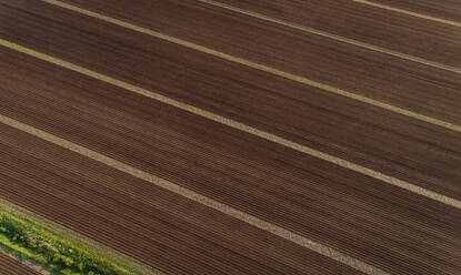 Aerial view pattern meadow field in Estonia. - AAEF02592