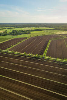 Aerial view pattern meadow field in Estonia. - AAEF02594