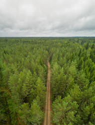 Luftaufnahme einer Straße, die durch einen Wald in Estland führt. - AAEF02611