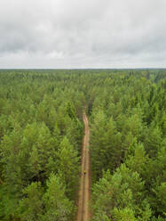 Luftaufnahme eines Mannes, der in einem Wald in Estland steht. - AAEF02613