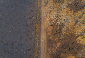 Luftaufnahme einer schmutzigen Straße, die durch ein Feld in Estland führt. - AAEF02616