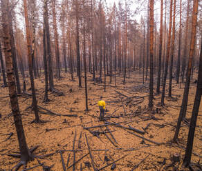 Aerial view man standing on forest in Estonia. - AAEF02621