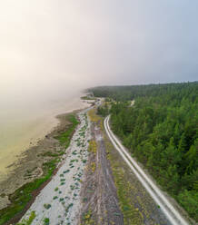 Luftaufnahme einer Straße am Waldrand von Forby auf der Insel Vormsi, Estland. - AAEF02630