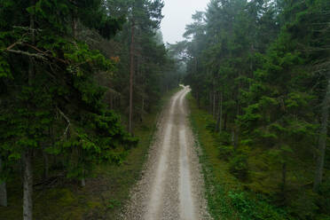 Luftaufnahme einer Straße durch den Wald in Forby auf der Insel Vormsi, Estland. - AAEF02634