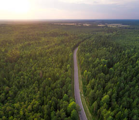 Luftaufnahme einer Straße, die durch einen Wald in Estland führt. - AAEF02636