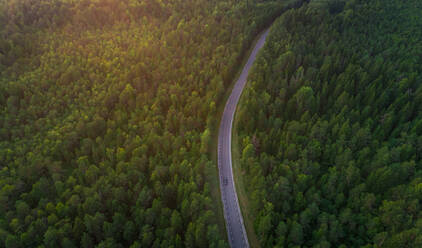Luftaufnahme einer Straße mit einem Auto, das durch einen Wald in Estland fährt. - AAEF02637