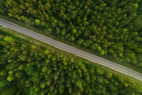Luftaufnahme einer Straße, die durch einen Wald in Estland führt. - AAEF02639