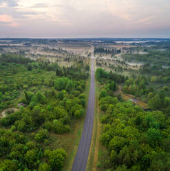 Luftaufnahme einer Straße durch einen Wald in Estland. - AAEF02642