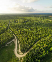 Luftaufnahme einer Straße, die durch einen Wald in Estland führt. - AAEF02653