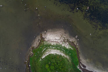 Luftaufnahme des Küstenwaldes bei Forby auf der Insel Vormsi, Estland. - AAEF02662