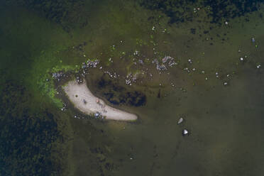 Luftaufnahme der Sandinsel bei Forby auf der Insel Vormsi, Estland. - AAEF02664