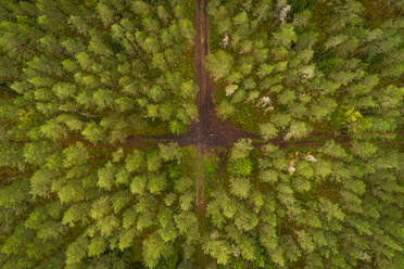 Luftaufnahme einer schmutzigen Querstraße durch den Wald in Forby auf der Insel Vormsi, Estland - AAEF02667
