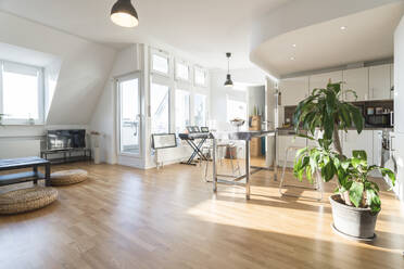 Interieur einer modernen Wohnung - TAMF02141