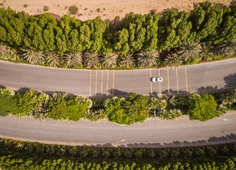 Luftaufnahme eines Autos auf einer begrünten Straße in Dubai, V.A.E. - AAEF02724