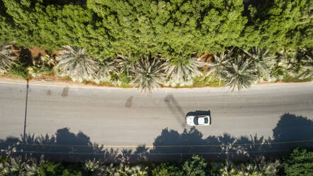 Luftaufnahme eines Autos auf einer von grüner Vegetation umgebenen Straße in Dubai, V.A.E. - AAEF02850