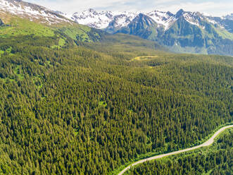 Luftaufnahme einer Straße durch einen natürlichen Wald in der Nähe von Seward, Alaska. - AAEF02920