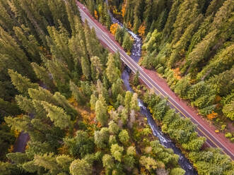Luftaufnahme einer Straße durch den Wald in Oregon, USA. - AAEF03042