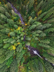 Luftaufnahme des Silver Falls State Park in Oregon, USA. - AAEF03045
