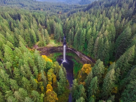 Aerial view of Silver falls state Park in Oregon, USA. - AAEF03046