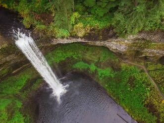 Luftaufnahme eines Wasserfalls im Silver Falls State Park in Oregon, USA. - AAEF03048