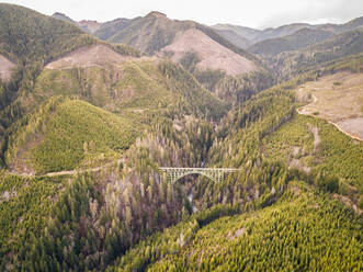 Luftaufnahme der Vance Creek Bridge in Shelton, Washington, USA. - AAEF03093