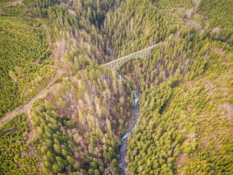 Luftaufnahme der Vance Creek Bridge in Shelton, Washington, USA. - AAEF03094