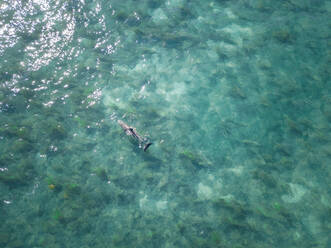 Luftaufnahme eines Delfins, der im klaren blauen Meer in Monkey Mia, Australien, schwimmt. - AAEF03110