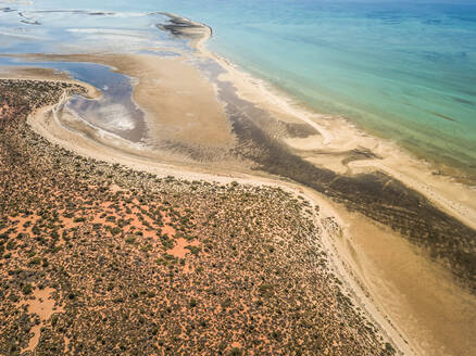 Luftaufnahme eines exotischen Strandes im François-Peron-Nationalpark in Australien. - AAEF03113