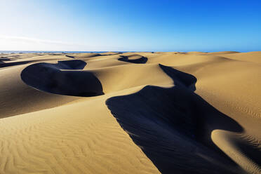 Naturschutzgebiet Dünen von Maspalomas, Gran Canaria, Kanarische Inseln, Spanien, Atlantik, Europa - RHPLF00479