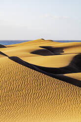 Naturschutzgebiet Dünen von Maspalomas, Gran Canaria, Kanarische Inseln, Spanien, Atlantik, Europa - RHPLF00480
