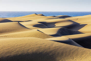 Naturschutzgebiet Dünen von Maspalomas, Gran Canaria, Kanarische Inseln, Spanien, Atlantik, Europa - RHPLF00483